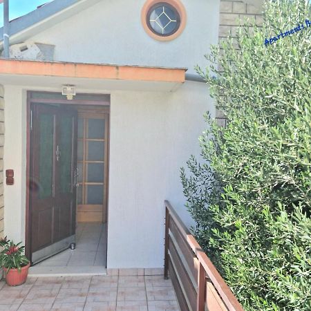 Apartments Borka Biograd Na Moru Exterior photo
